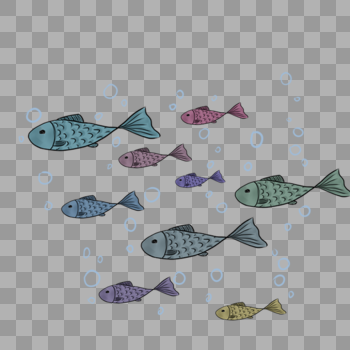五颜六色的鱼群在游图片素材免费下载