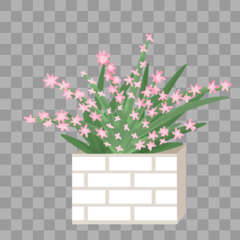 粉色小花植物图片素材免费下载
