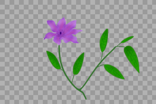紫色神秘花卉素材图片素材免费下载