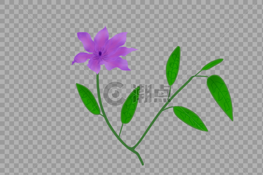 紫色神秘花卉素材图片素材免费下载