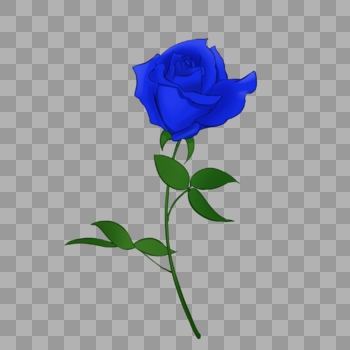 蓝玫瑰图片素材免费下载