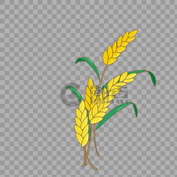 芒种金色麦子绿色植物卡通手绘装饰图案图片素材免费下载