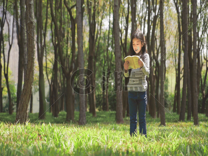 女生站在树林里看书GIF图片素材免费下载