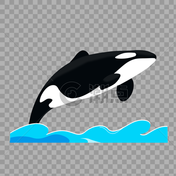手绘虎鲸鲸鱼海洋动物免抠元素图片素材免费下载