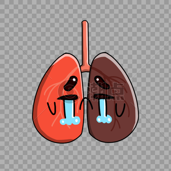 肺图片素材免费下载