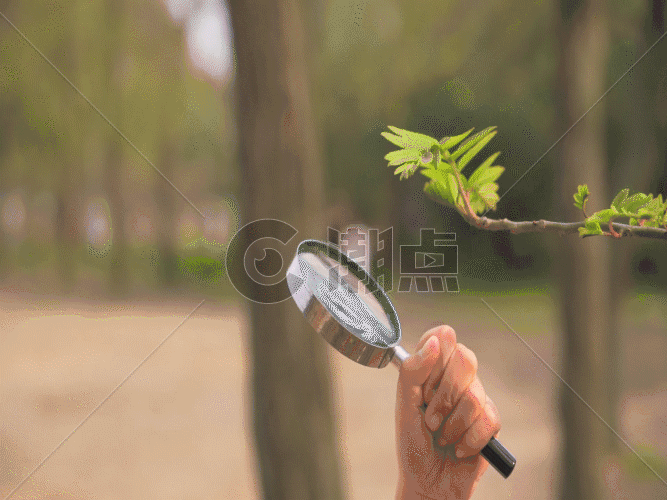 手拿放大镜观察植物的孩子GIF图片素材免费下载