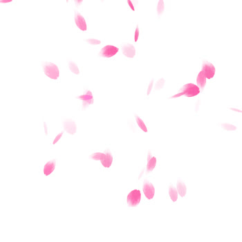 漂浮的粉色花瓣gif图片素材免费下载