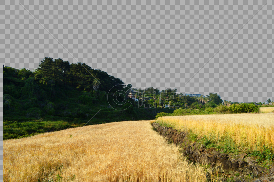 韩国济州岛乡间田野自然风光图片素材免费下载