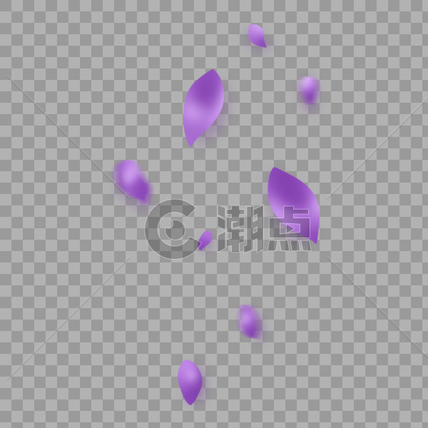 紫色花瓣图片素材免费下载