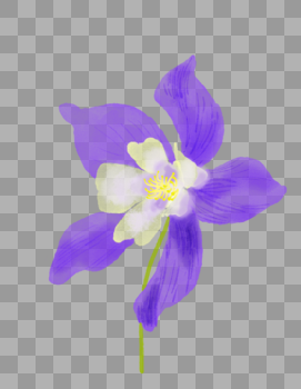 紫色漏斗菜花朵图片素材免费下载
