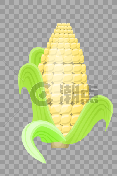 一排排的玉米粒图片素材免费下载