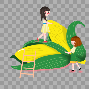 收玉米的女孩图片素材免费下载