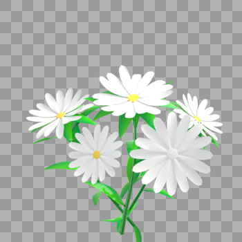 一簇白色花朵图片素材免费下载
