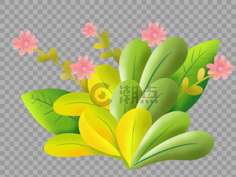 绿植花朵素材图片素材免费下载