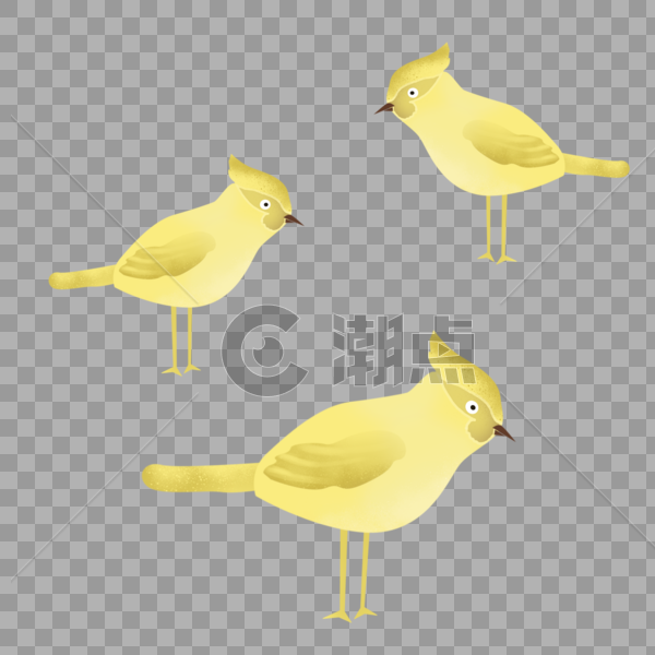 站立的黄色小鸟图片素材免费下载