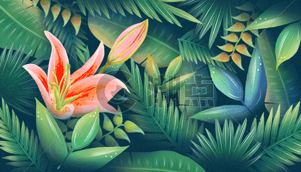 花卉叶子植物插画gif动图图片素材免费下载