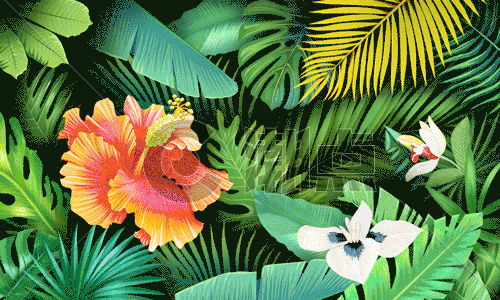 花卉植被元素插画gif动图图片素材免费下载