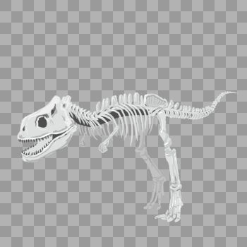 恐龙化石图片素材免费下载