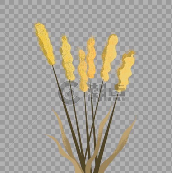 手绘黄色麦子花卉元素图片素材免费下载