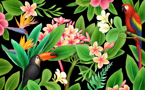 热带植物花鸟图片素材免费下载
