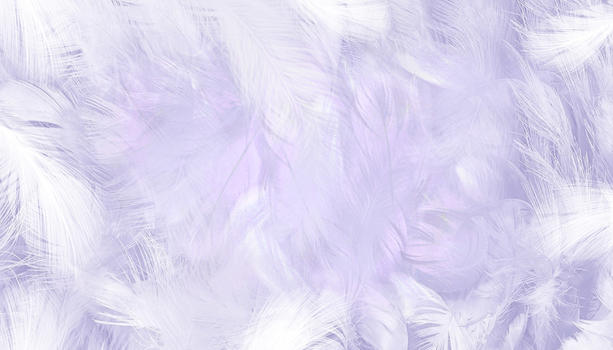 紫色羽毛背景图片素材免费下载