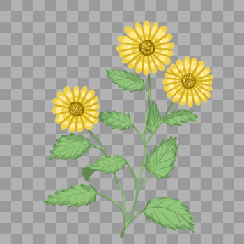 手绘黄色野菊花元素图片素材免费下载
