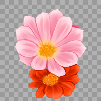 手绘粉色非洲菊花卉元素图片素材免费下载