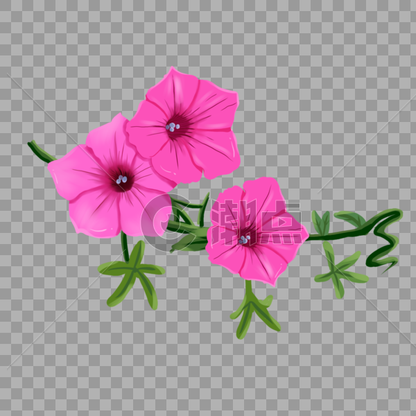 手绘紫茉莉花卉元素图片素材免费下载