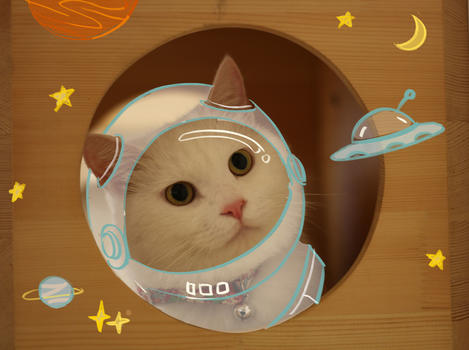 宇航员猫图片素材免费下载
