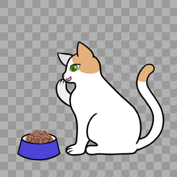吃饭就开心的猫对着猫粮捂嘴偷笑图片素材免费下载