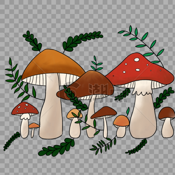蘑菇树林图片素材免费下载