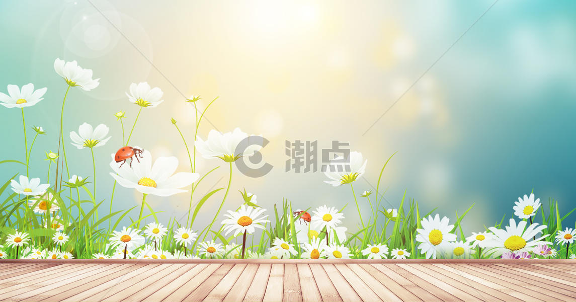 夏天鲜花背景图片素材免费下载