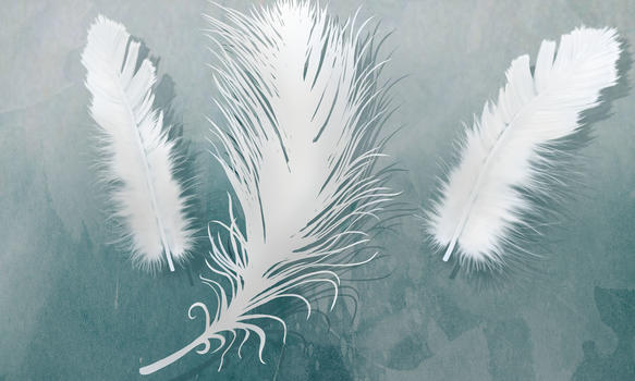 抽象创意羽毛背景图片素材免费下载