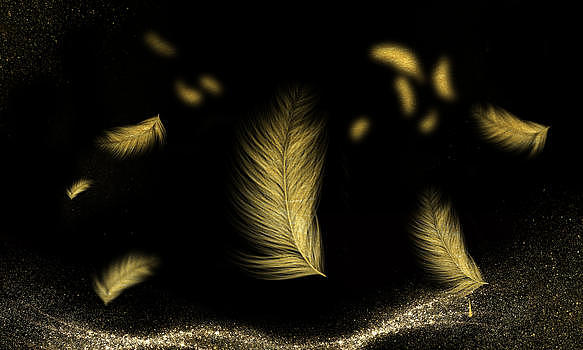 金色羽毛背景图片素材免费下载