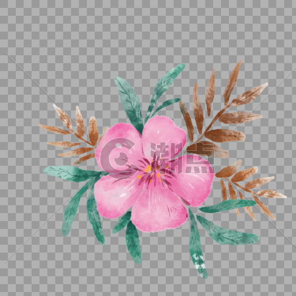 水彩花卉装饰图案png免抠图图片素材免费下载