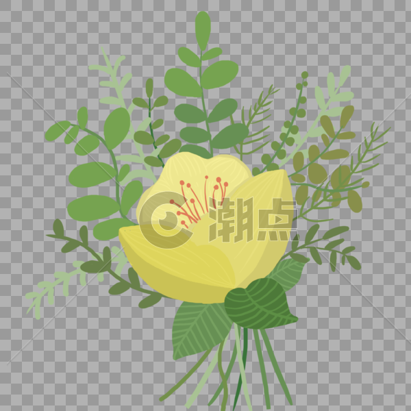 手绘一束清新植物花束图片素材免费下载