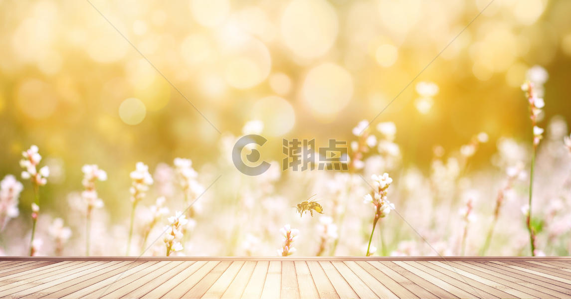 夏天清新鲜花背景图片素材免费下载