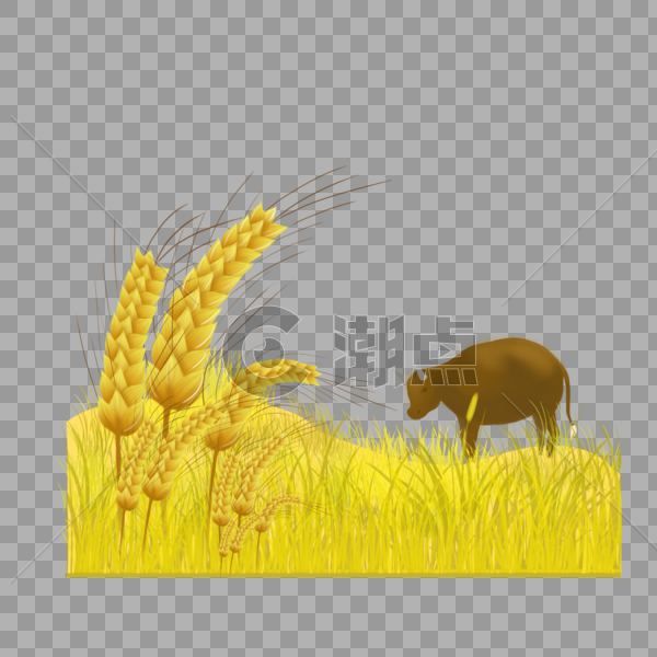 稻谷小麦与黄牛图片素材免费下载