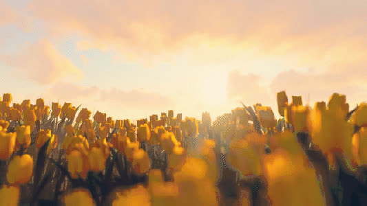 黄色郁金香花海三维风光gif图片素材免费下载