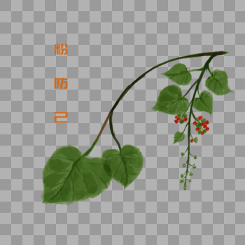 卡通药材粉防己插图图片素材免费下载