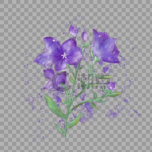 紫色的花图片素材免费下载