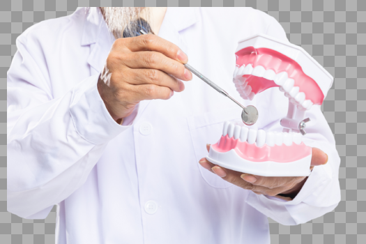 牙医手拿牙齿模具图片素材免费下载