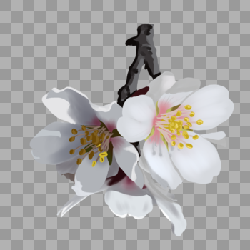 手绘樱花花朵图片素材免费下载