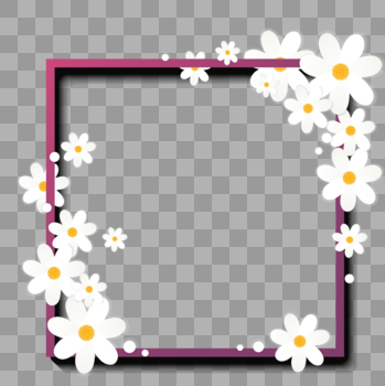 白色花朵边框图片素材免费下载