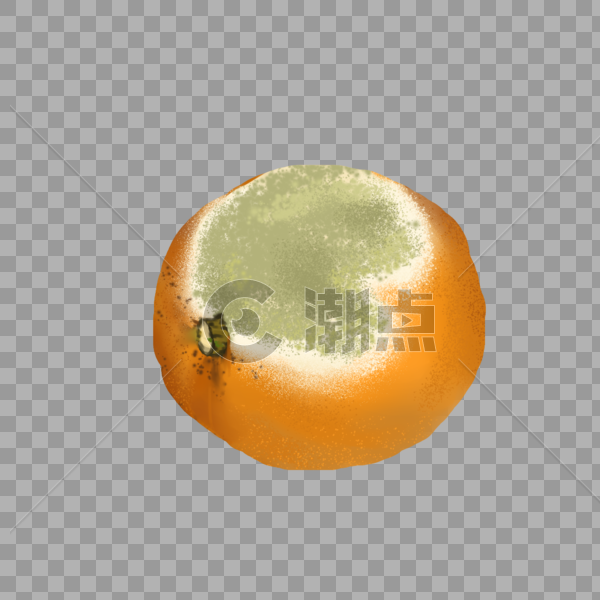 食物变质橙子图片素材免费下载
