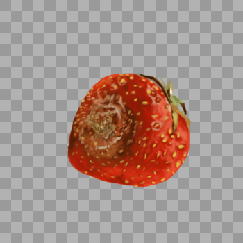 食物变质草莓图片素材免费下载