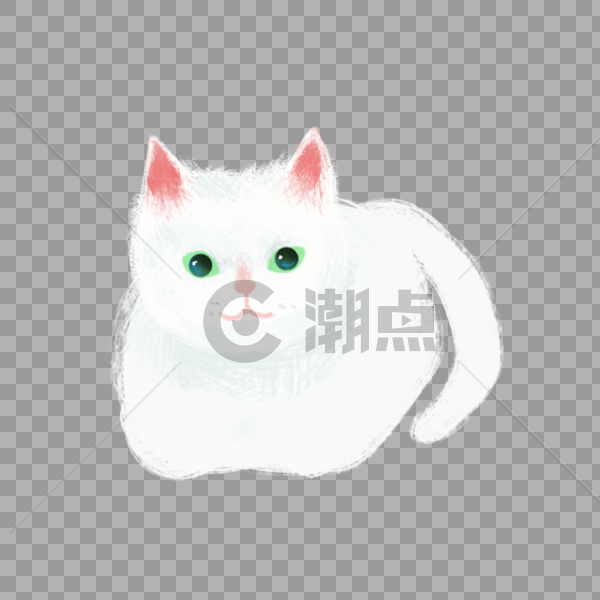 小猫图片素材免费下载