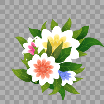 花卉植物组合图片素材免费下载