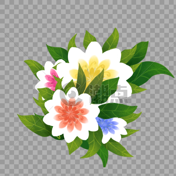 花卉植物组合图片素材免费下载