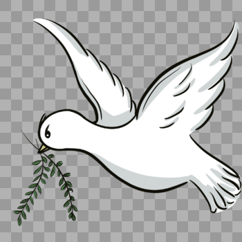 白色的和平鸽图片素材免费下载